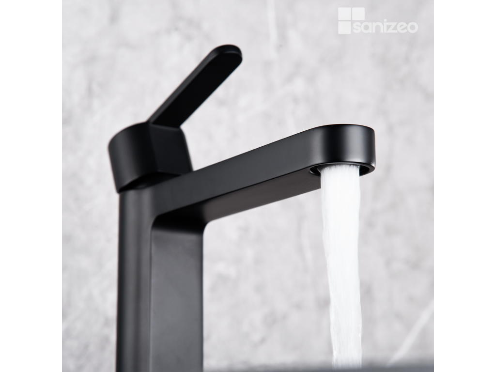 Robinet Mitigeur de Lavabo anti-calcaire Bec Bas Noir Mat Decohaute ROMA BDR001-1NG PSGT16294