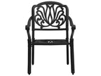 Chaises de jardin lot de 2 Aluminium coulé Noir XOAD73864