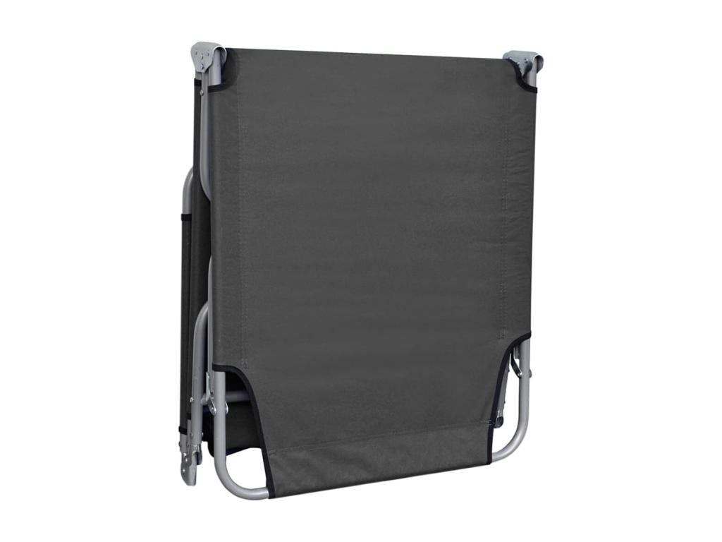 Chaise longue pliable avec dossier réglable Gris PGZV09154